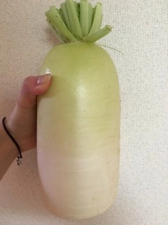 りえ