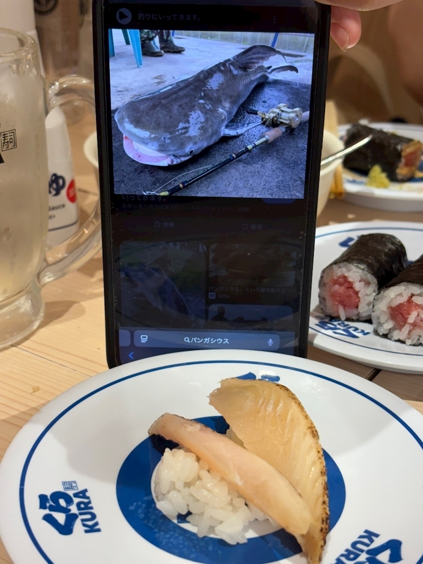 まゆり