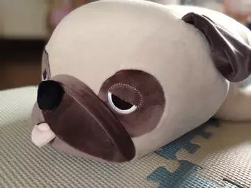 ひな