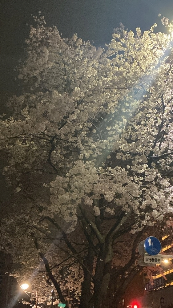 さな