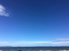 沙良 純