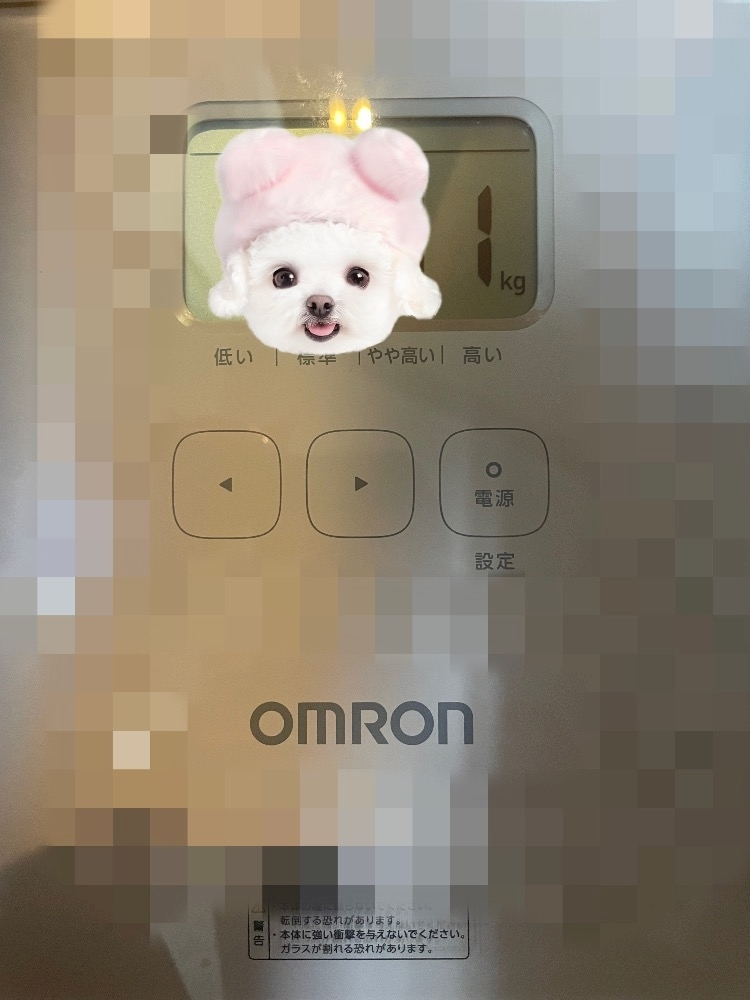 四宮 ねこ