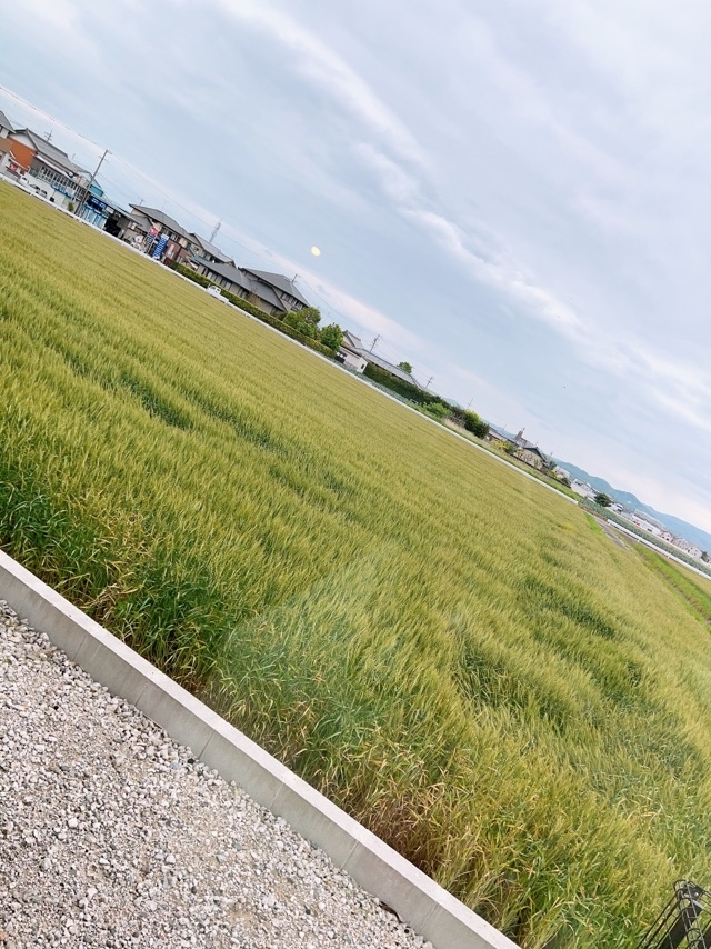 愛川 ゆず