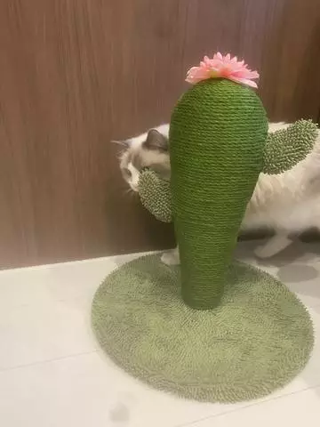 蓮海 マリーヤ