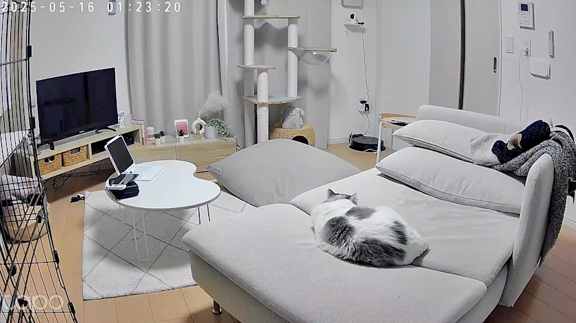 辻 みなみ