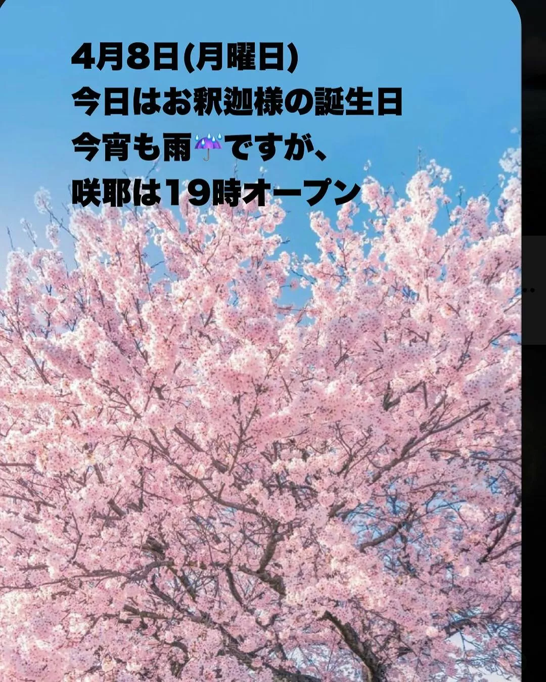 藤本 祐子ママ