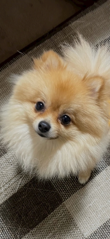 なち