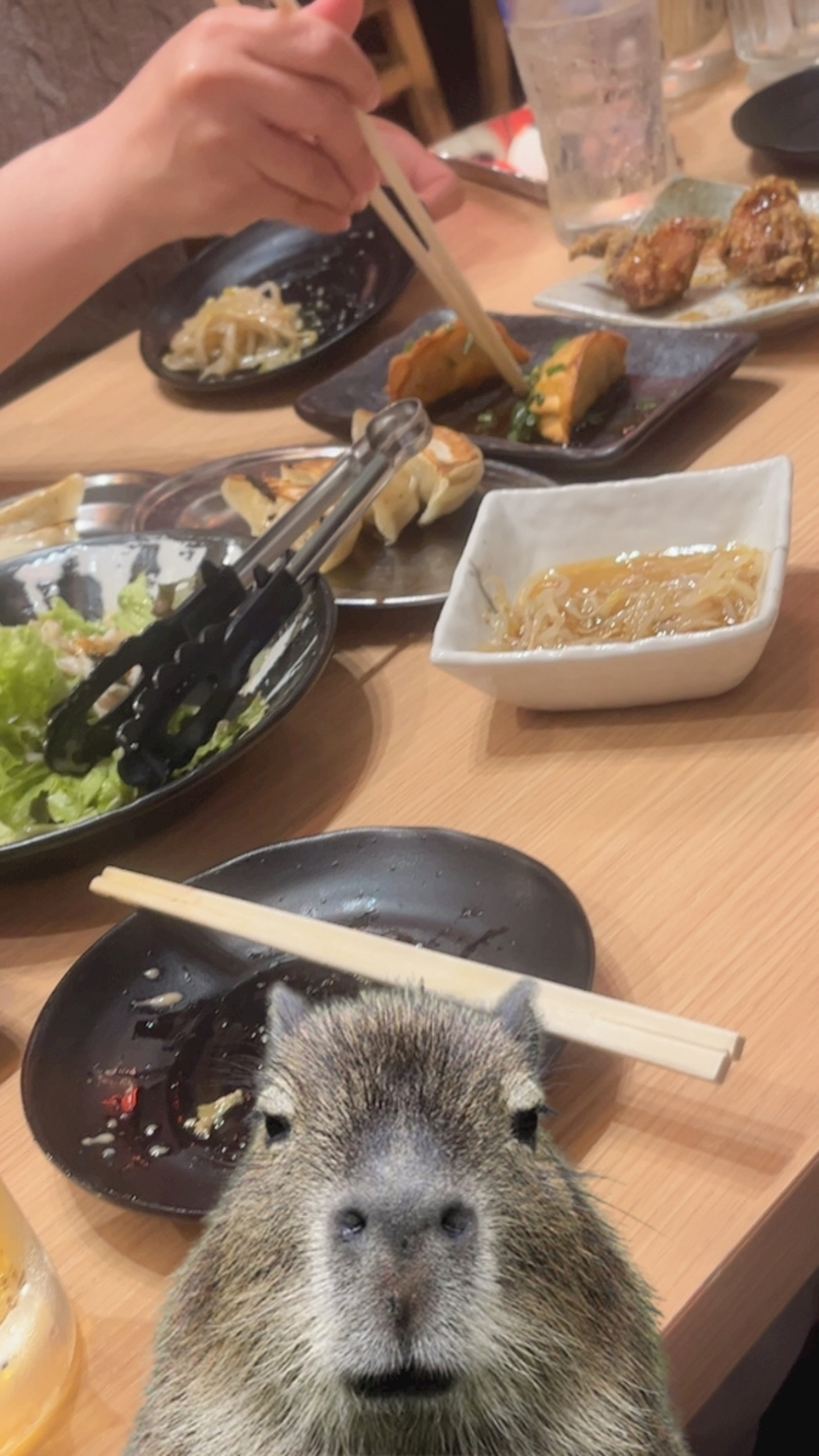 兎華多 あいす