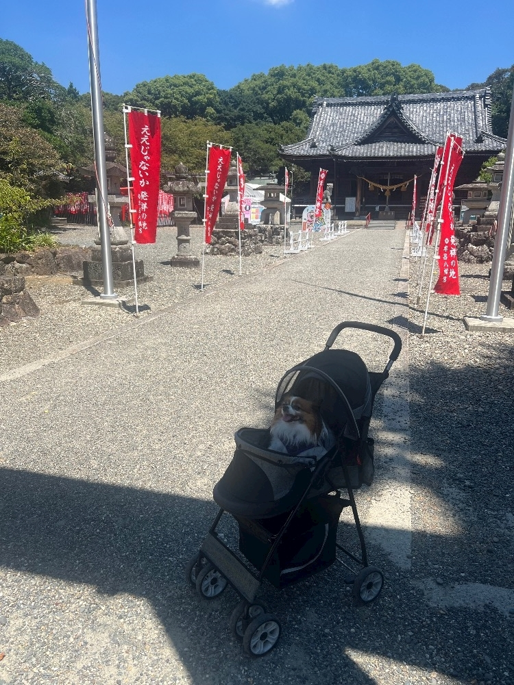 あいら