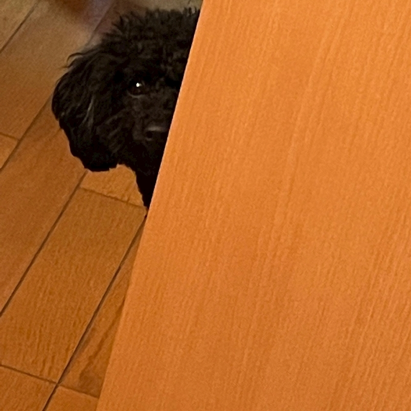 五条 はるな