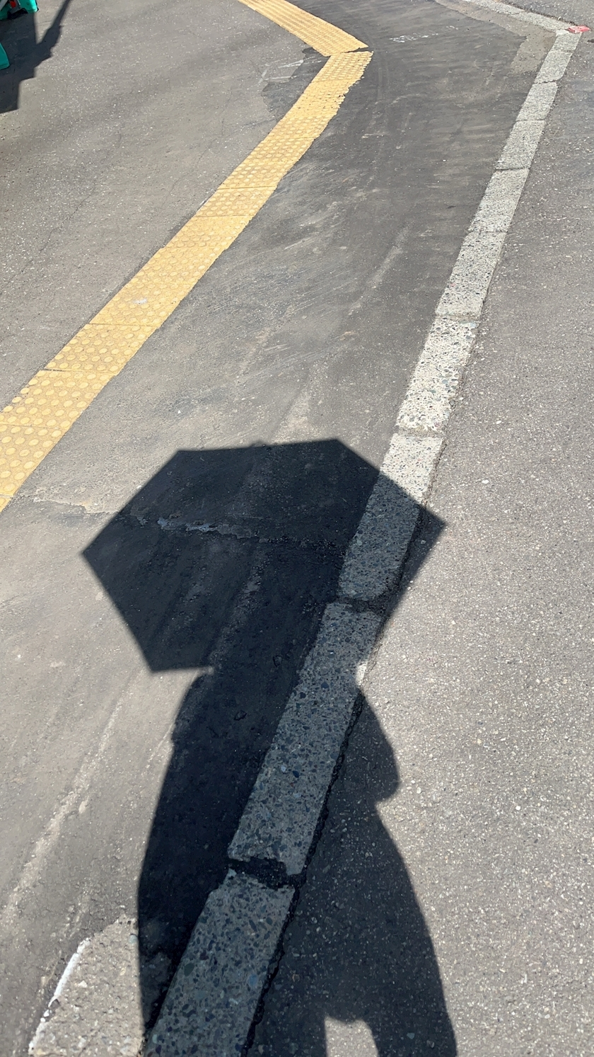 夢咲 さくら