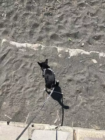 長瀬 純恋