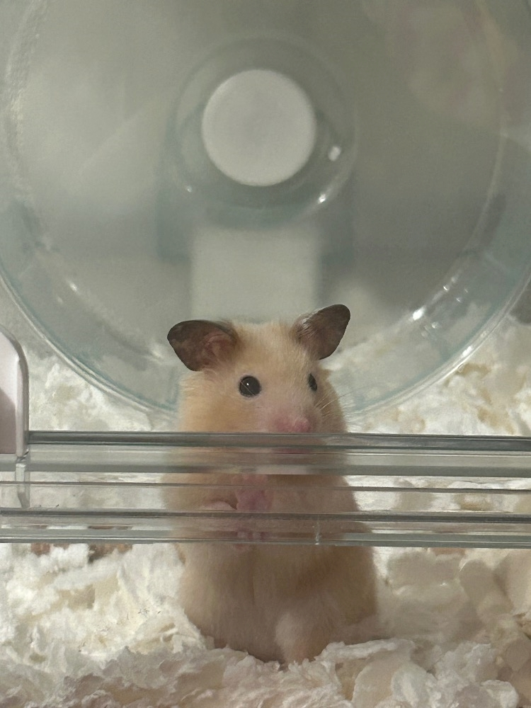 かびるんるんさわ