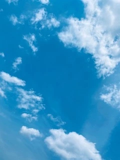 ゆかり