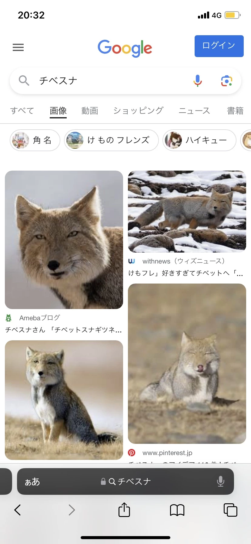 ひぃな