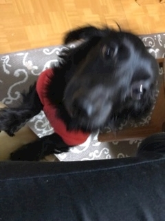 りえ