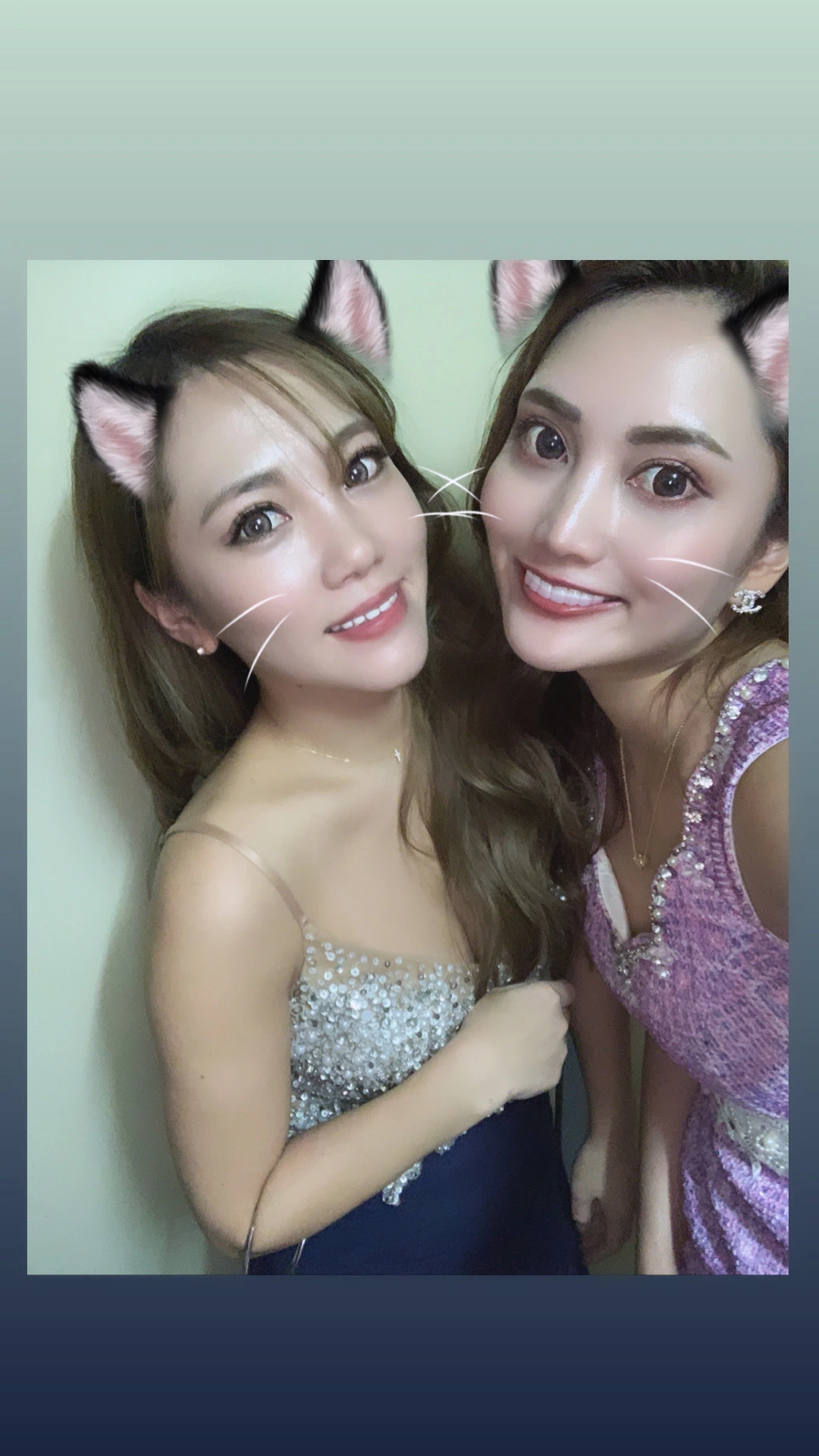 ヤシの木 ここな