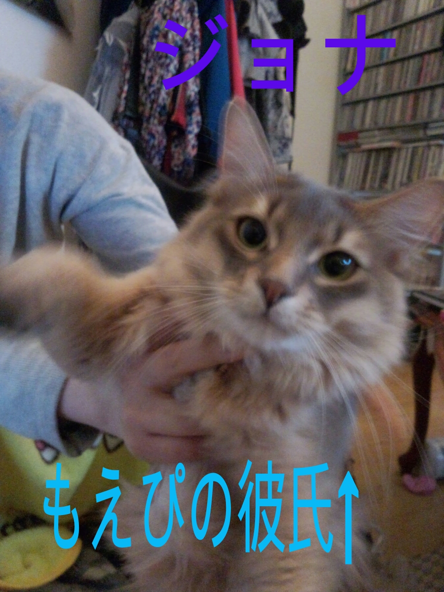 橘 あんな