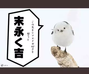 ひな
