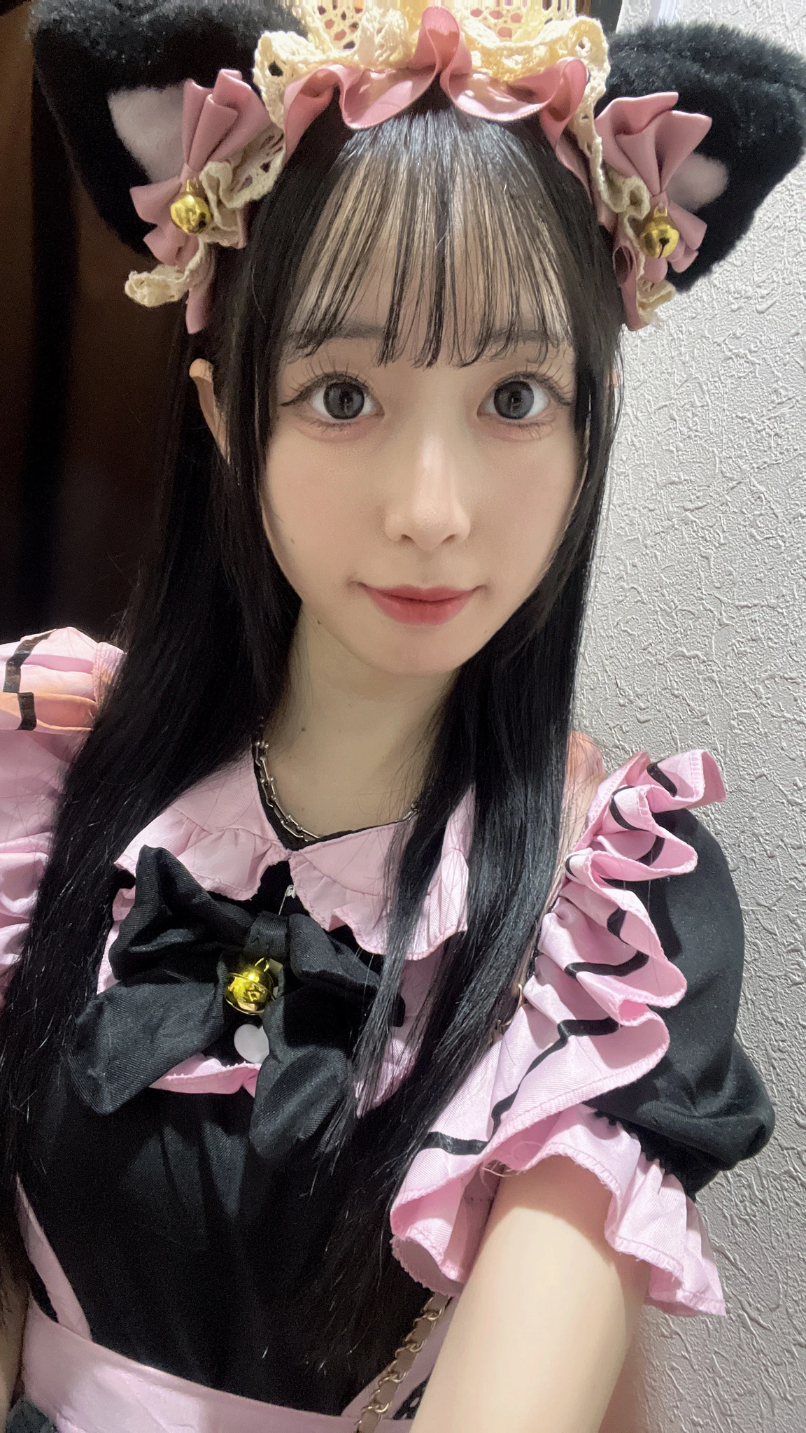 Kitty(ミ･｡･ミ)♡