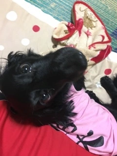 りえ