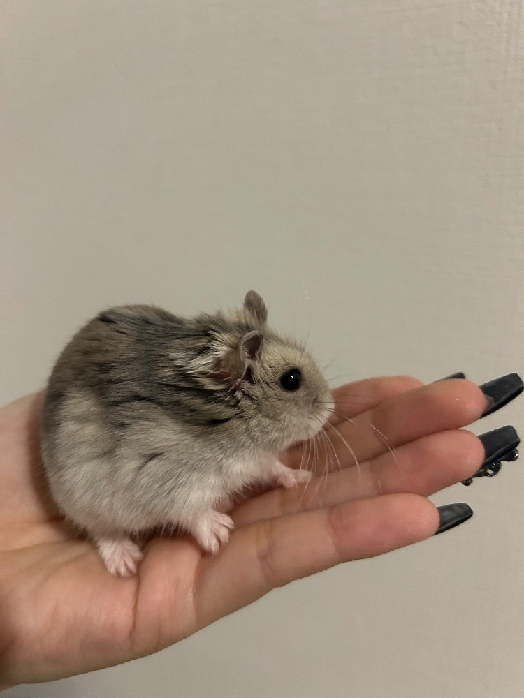 かびるんるんさわ