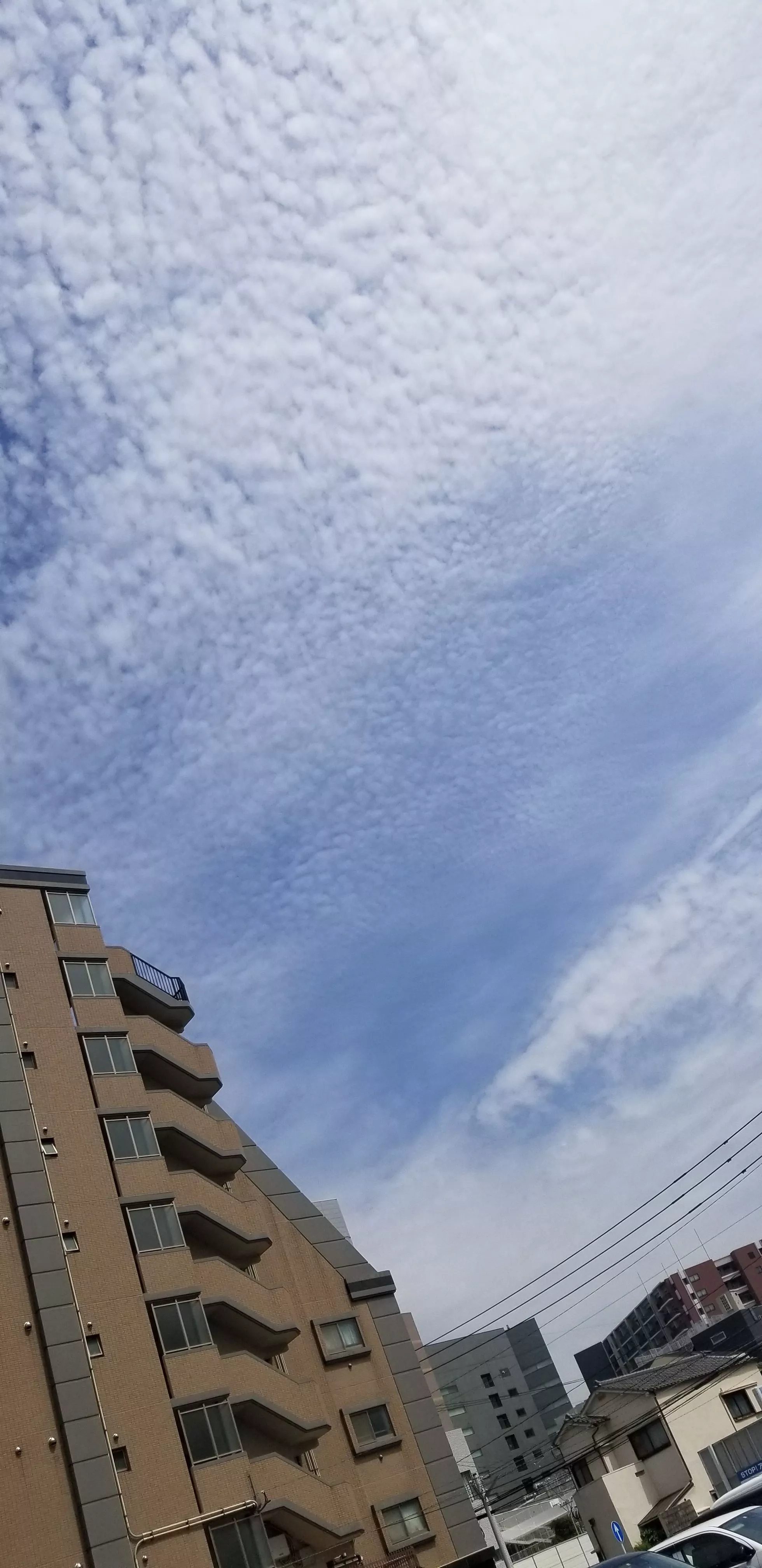 れん