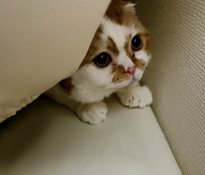 れみ