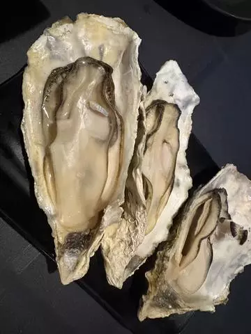 北乃 アリス