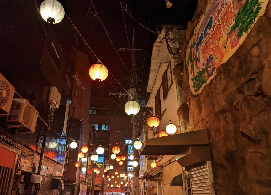 五条 椿