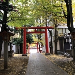 たまき