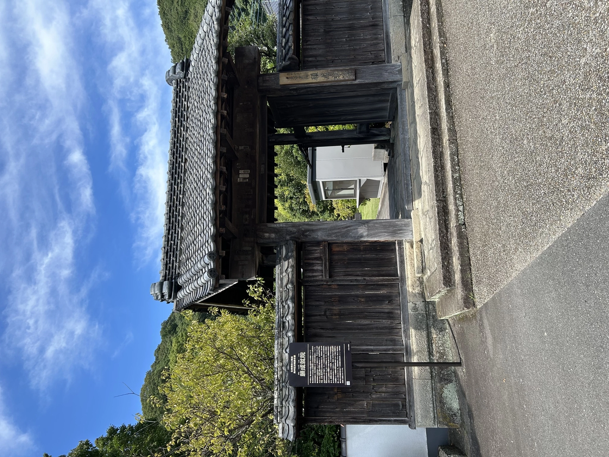 桜井 ちひろ