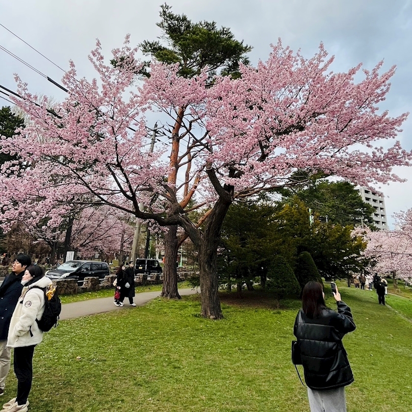 黒川 すみれ