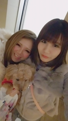 姫花