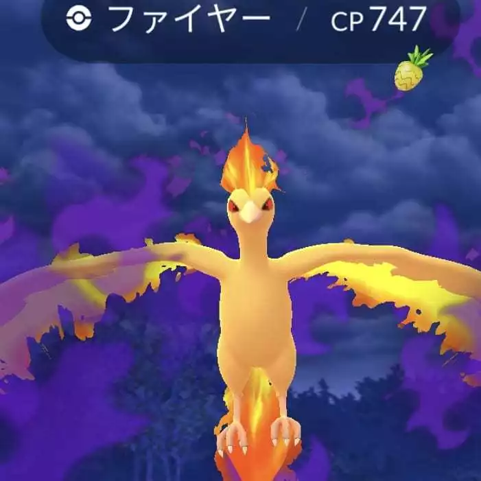 五条 椿