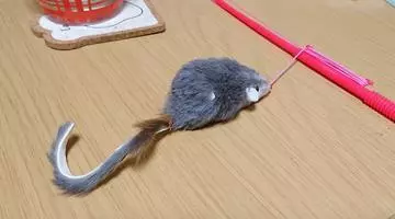 ひな