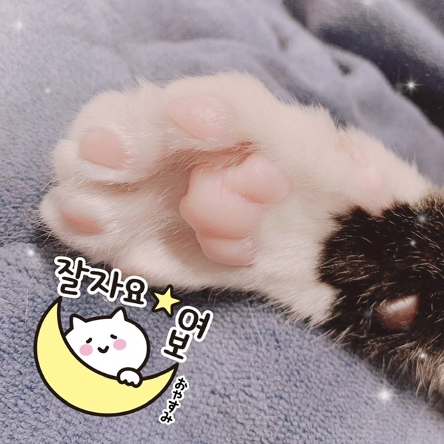 なな