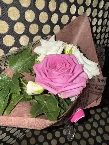 白石 愛莉