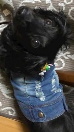 りえ
