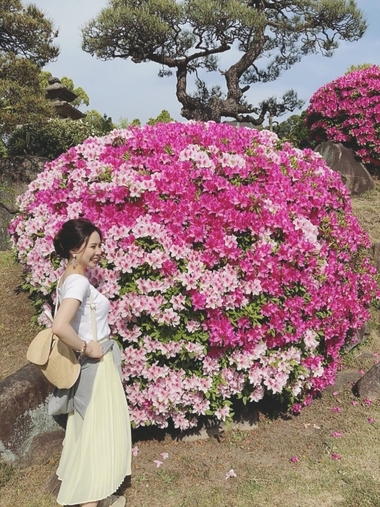 さくら