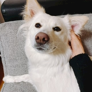 京 さゆみ