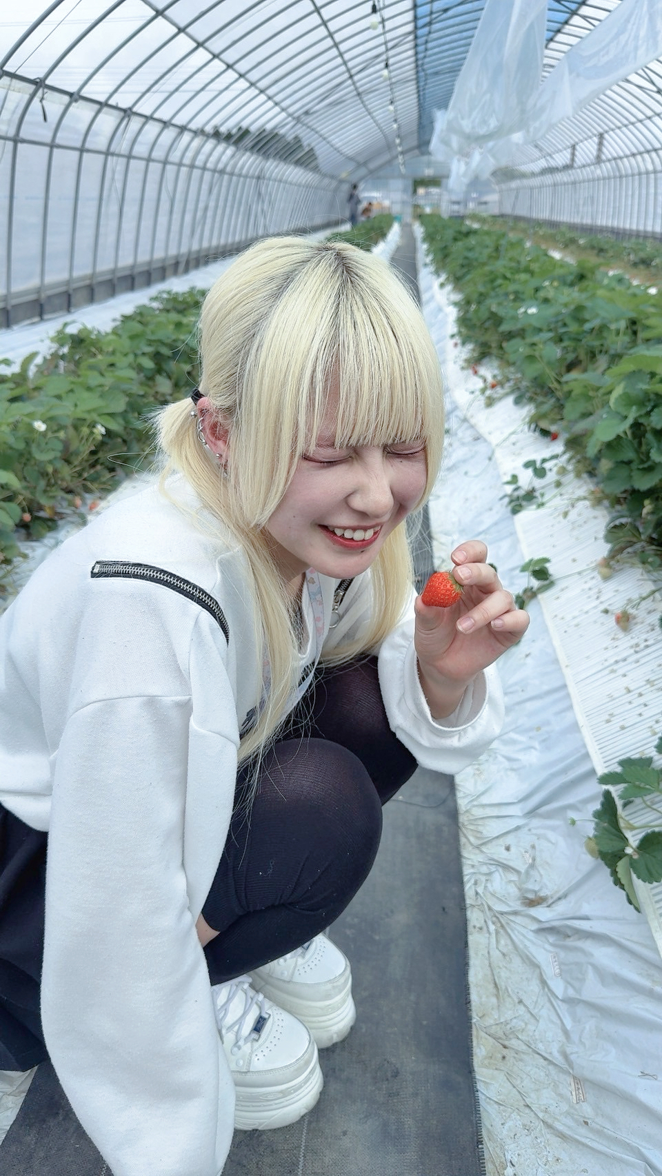 ぱき