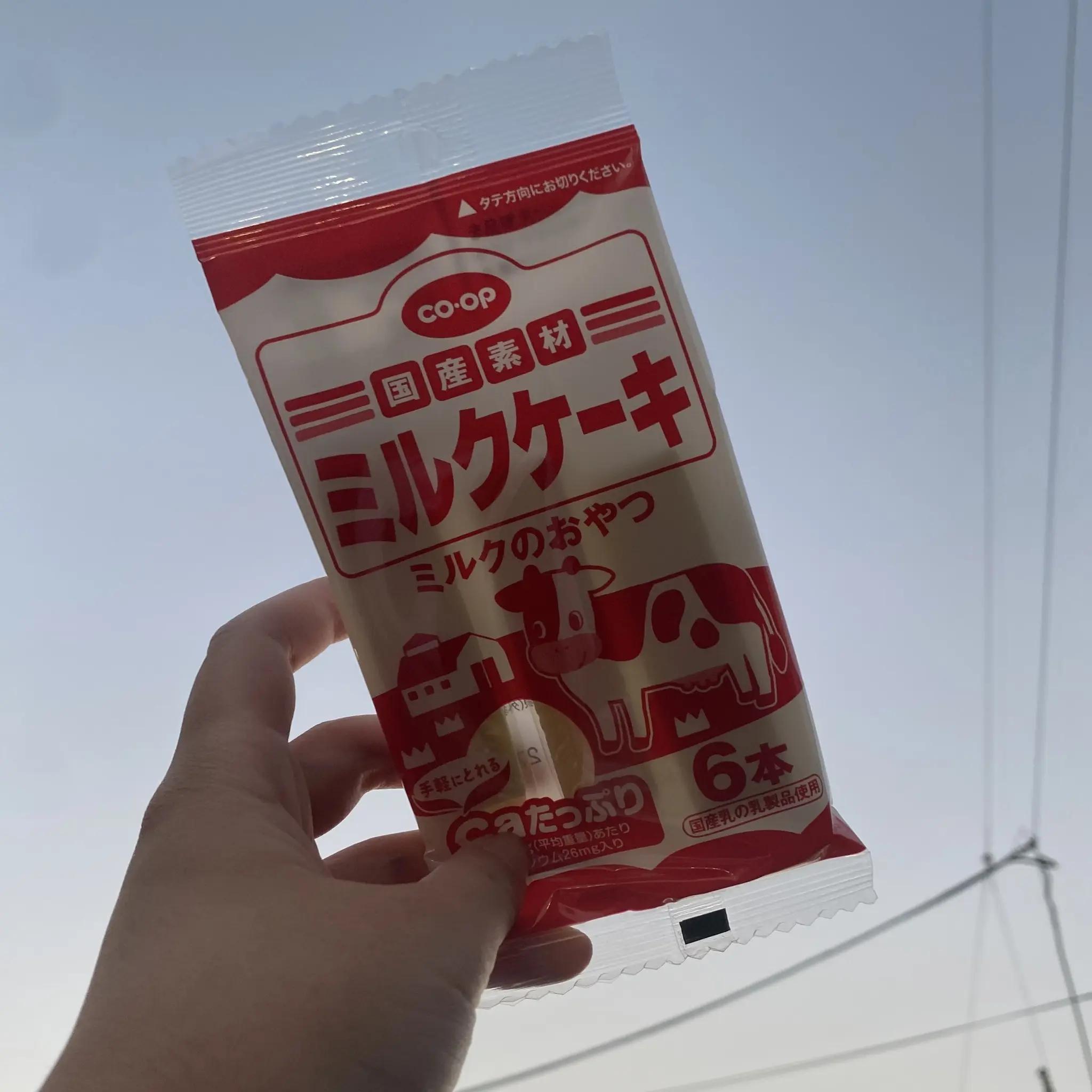 サリイ