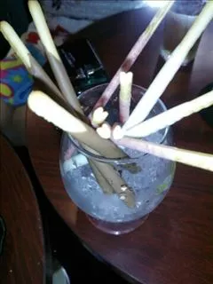 愛羽 仁美