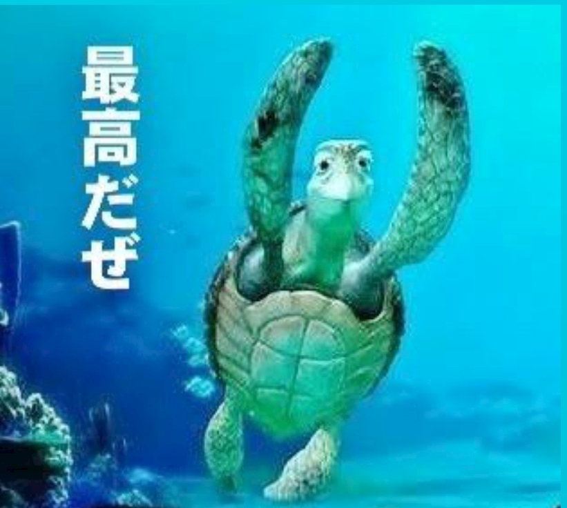 天龍 もも