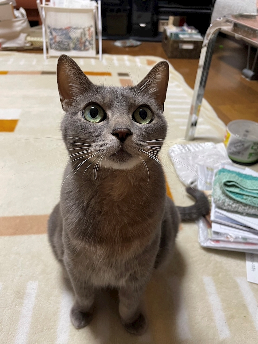 美月 ひな