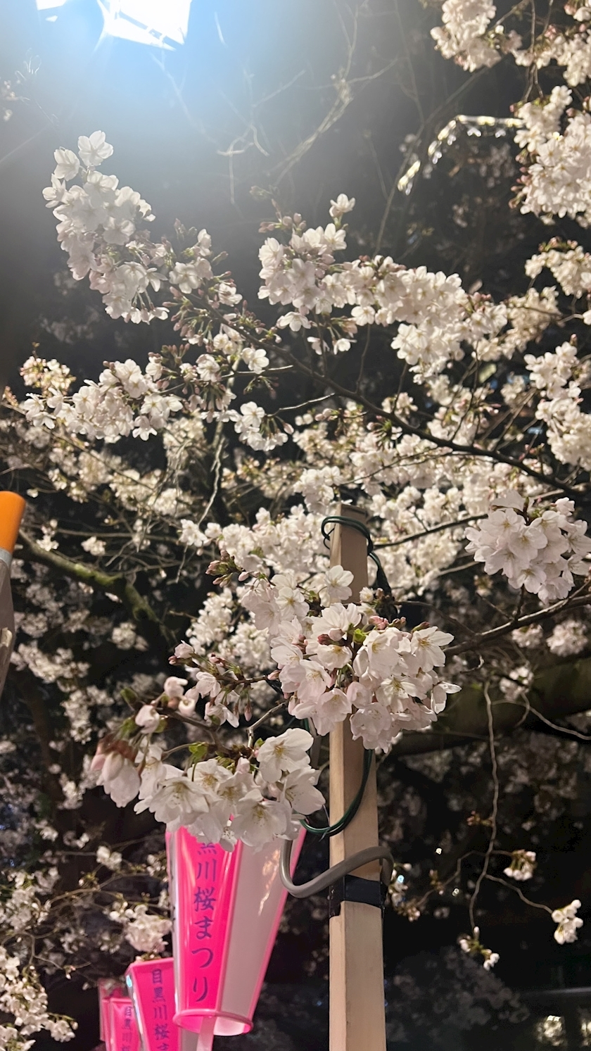 かんな