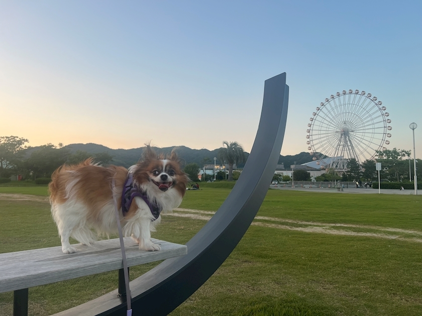 あいら