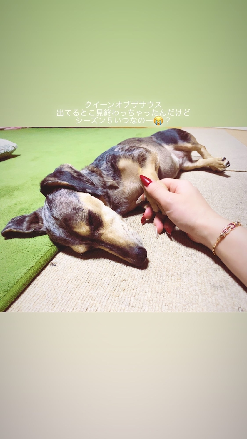 紗貴