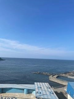 成海 まお